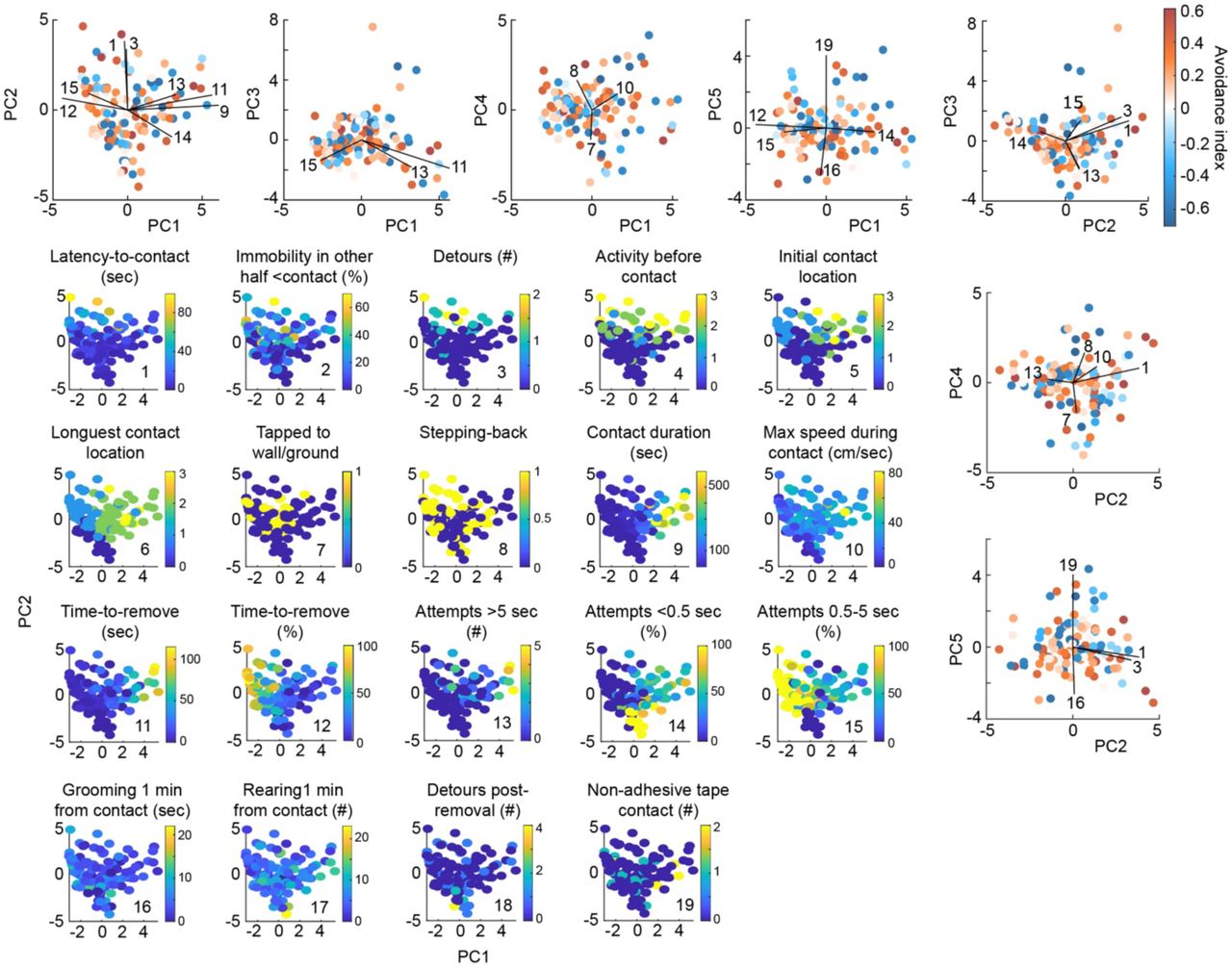 Multidimensional analysis of familiarization and impact on retrieval (related to the Supplementary Information)Projections of the 19 parameters considered in familiarization along the first two principal components (parula colormap). Projections of the avoidance index (blue to red colormap) along with the contributions of key parameters represented by vectors on the first five principal components.