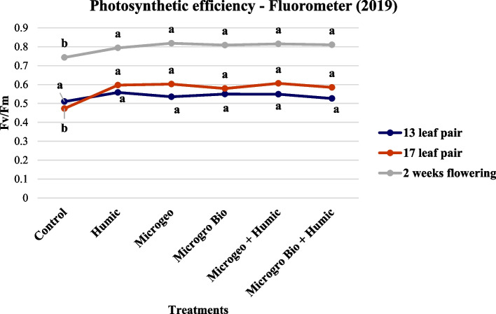 Cannabis photosynthetic efficiency readings collected in 2019 at three growing stages (13, 17, and 2 weeks flowering). Mean within each dot above the treatment followed the same letter by the same growth stage is not significantly different at the 0.05 probability level