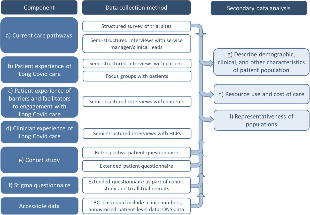 Study design for the CARE-INEQUAL work package for STIMULATE-ICP.