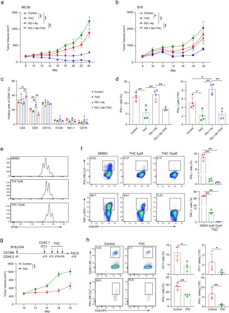 THC suppresses T-cell immunity against cancer. Mice bearing MC38 (a) or B16 (b) tumors were treated with DMSO, THC, PD-1 antibody, or THC plus PD-1 antibody on day 10 after tumor inoculation. Tumor volumes were measured every other day (two-way ANOVA, mean ± SEM; *P < 0.05, and **P < 0.01). c The percentages of CD3+ T cells, CD4+ T cells and CD8+ T cells were analyzed by flow cytometry in the B16 tumors on day 17. d The expression of INF-γ in T cells isolated from tumor was detected by intracellular staining after in vitro re-stimulation with PMA and Ionomycin for 4 h. Statistical analysis was performed on biological replicates, ordinary one-way ANOVA, mean ± SD; *P < 0.05, and **P < 0.01. e, f Wild-type CD8+ T cells were pretreated with different concentrations of THC and anti-CD3 (5 μg/ml) plus anti-CD28 (5 μg/ml) simultaneously for 48 h. Proliferation was determined by CFSE dilution assay (e) and the production of IFN-γ and TNF-α was detected by intracellular staining (f). one-way ANOVA, mean ± SD. **P < 0.01. Data are representative of three independent experiments. g, h 6–10 weeks old C57BL/6J mice were subcutaneously engrafted with 105 B16-OVA tumor cells in 200 μl PBS. 10 days later, 1 × 106 OT-I (CD45.1+) T cells were transferred intravenously through tail veins, and THC was intraperitoneally injected on day 12, 14 and 16. Tumor growth was measured every other day (g), and the frequencies and numbers of OT-I T cells and the production of IFN-γ in OT-I T cells after in vitro activation were measured by flow cytometry (h). Two-tailed unpaired Student’s t-test, mean ± SD; *P < 0.05, **P < 0.01. Data are representative of three independent experiments.