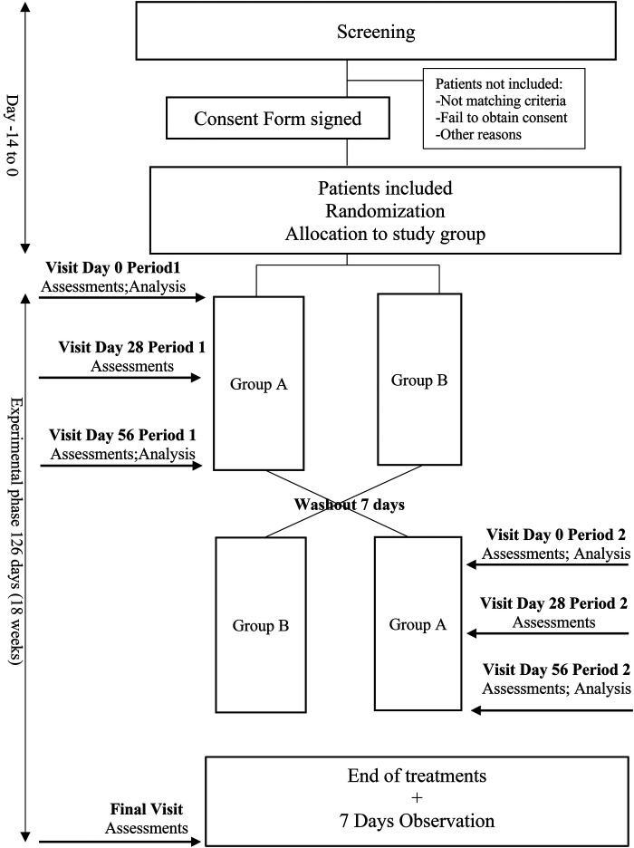 Study flow chart of the MedCanDem trial, medical cannabinoids for painful symptoms in patients with severe dementia living in home-care facilities.