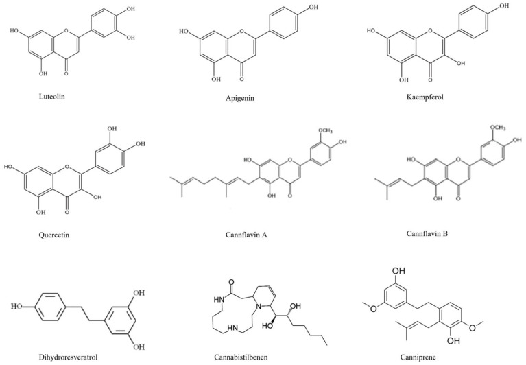 Flavonoids found in C. sativa.