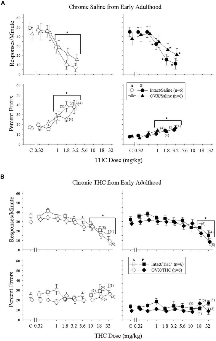 Acute effects of Δ9-THC in intact and OVX females that received either saline (A, upper four panels) or 5.6 mg/kg of Δ9-THC (B, lower four panels) daily from early adulthood to sacrifice and that were responding under an acquisition (A, graph legend) and performance (P, graph legend) procedure. Data points and vertical lines above C in each panel indicate the grand mean and standard error of the mean (SEM) for 9–19 saline (control) injections. The data points and vertical lines in the dose-effect curves represent a grand mean and SEM for that dose, as each dose was administered on 2–4 occasions in each subject. Asterisks alone or in combination with brackets indicate significant differences between particular doses of Δ9-THC and acute saline (control) injections. Numerical values in parentheses and adjacent to a data point indicate the number of subjects represented by that point when it differed from the total number of subjects for that group (e.g., instances in which responding was eliminated entirely and the percentage of errors could not be calculated, or simply differences in the potency of Δ9-THC across subjects).