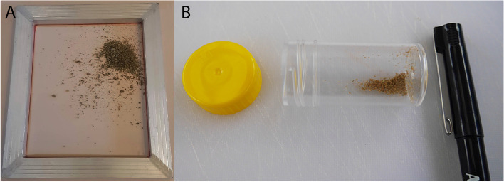 A Obtaining cannabinoid-rich trichomes from Cannabis sativa is achieved via gentle shaking of frozen plant material over a 40-μm nylon mesh pulled tightly over a frame (33 cm wide × 38 cm long × 2.5 cm deep). B Trichome-rich material post-filtration in a 25 ml vial. Pen and lid positioned for scale