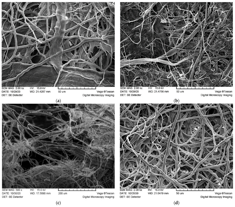 Ultrastructure (SEM, magnifications are given after sample name) of the materials: (a) KF FF, 1000×; (b) HF FF, 2000×; (c) HF KF FF, 500×; (d) FF, 2000×.
