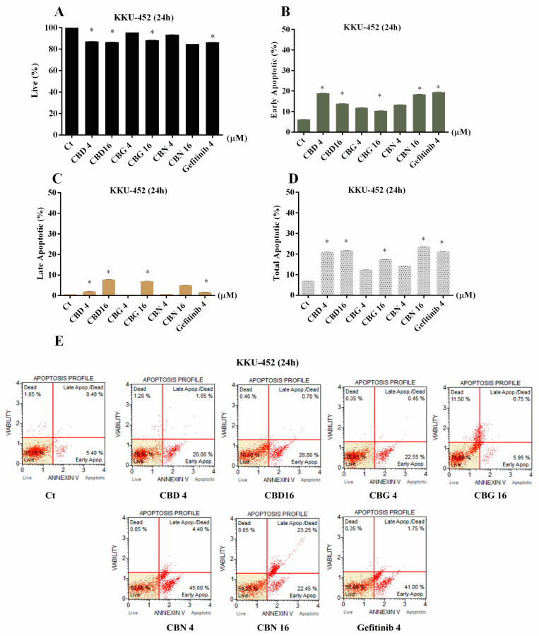 Apoptosis-inducing effects of CBD, CBG, and CBN in KKU-452 cells. (A), Percentages of live cells (B), early apoptotic cells (C), late apoptotic cells and (D) total apoptotic cells following 24 h treatment. Bars represent the mean ± SD from six independent experiments. (E) Representative flow cytometry plots obtained using annexin V and dead cell kit staining. The red lines divide each plot into four quadrants representing live, early apoptotic, late apoptotic, and dead cells. * p < 0.05 vs. control (Ct). CBD, cannabidiol; CBG, cannabigerol; CBN, cannabinol.