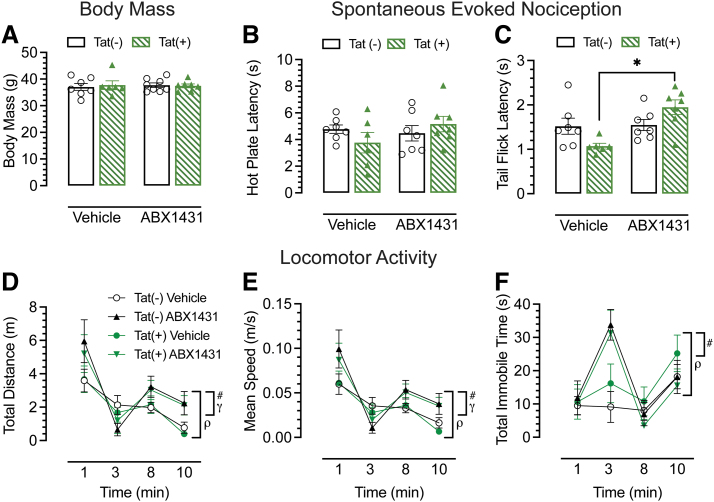 Effect of acute ABX1431 at 4 mg/kg on body mass and spontaneous evoked nociception and locomotor activity. (A) Body mass was not affected by acute ABX1431 dose. (B) For the hot plate assay, no effects were noted by acute ABX1431 administration. (C) For the spinal-related tail-flick assay, ABX1431 administration at 4 mg/kg increased latency to pain signals in Tat(+) mice, whereas no significant differences were found in Tat(−) mice. (D) Locomotor activity was significantly altered by acute ABX1431 administration over 10 min and increased overall locomotor activity. (E) ABX1431 significantly changed the average speed by which mice traveled and increased overall speed of mice. (F) ABX1431 caused increase in immobility especially at 3-min time point irrespective of the genotype. All data are expressed as mean±the SEM. Statistical significance was assessed by ANOVAs followed by Tukey's post hoc tests; *p=0.002 vehicle-treated Tat(+) mice versus ABX1431-treated Tat(+) mice for tail-flick assay; #p≤0.001 main time effect; γp<0.05 main treatment effect; ρp<0.05 time×treatment interaction effect.