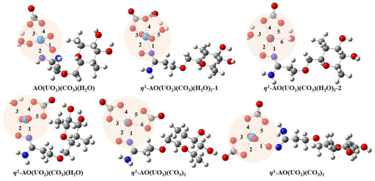 Six models obtained via density functional theory calculation.