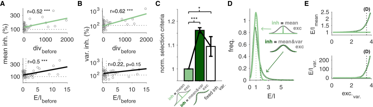 Inhibition Aiming for Mean Excitation Yields a Better Statistical Excitation-Inhibition Balance(A and B) Changes in mean (A) and variance (B) of inhibitory currents for statLTSP (top) and the EI ratio (bottom).(C) Model selection criteria for a model in which inhibition aims for the excitatory mean current (light green), a model in which inhibition aims for both mean and variance of excitatory responses (dark green), and a model in which inhibition aims for the mean excitation, but its variance is fixed (i.e., does not change; white) (cf.Figure S10).(D) A given sample from inhibitory and excitatory postsynaptic responses generates an EI ratio, which we use to estimate the distribution of EI balance. Comparison of distributions of EI balance for two possible views: inhibition response statistics matches both excitatory mean and variance (dark green) or only excitatory mean (light green).(E) Change in E/I distributions as the variance of excitatory increases for both cases. Dotted lines in (D) represent the mean of the distributions and dotted lines in (E) represent the variance of the excitatory responses used in (D). Error bars represent mean ± SEM.