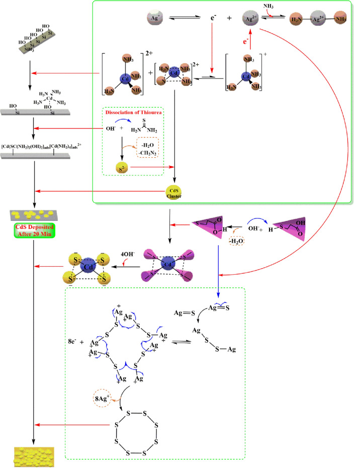 The growth mechanism of CdS + Ag + MPA in CBD.