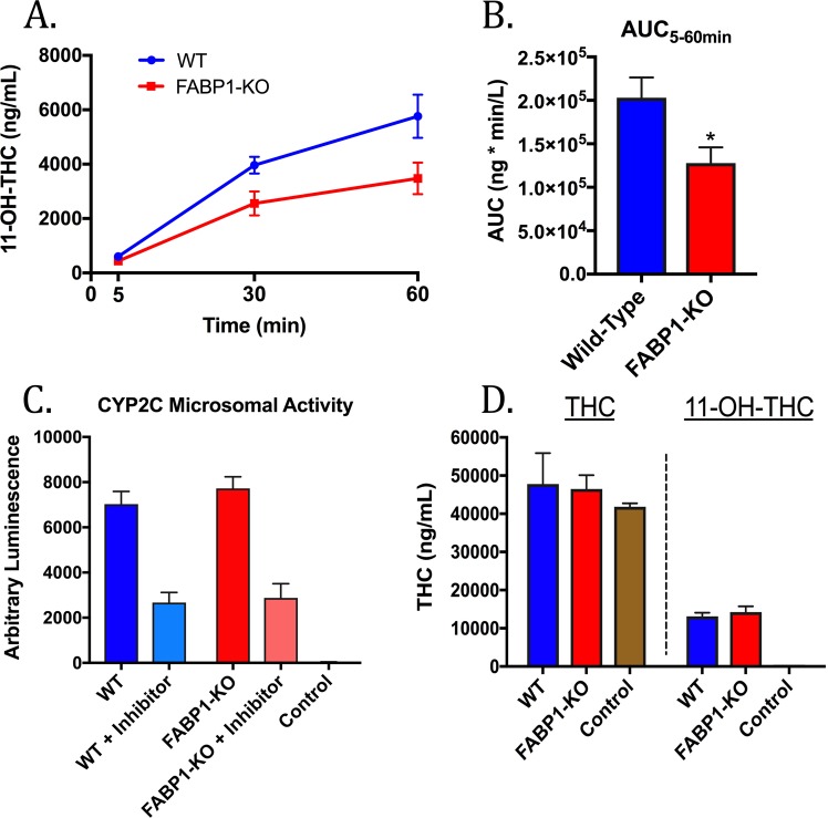 THC biotransformation by primary mouse hepatocytes. (A) Time-course of ex vivo THC biotransformation to 11-OH-THC in hepatocytes derived from WT and FABP1-KO mice. (B) 5–60 minute AUC analysis of 11-OH-THC formation by cultured primary hepatocytes. (C) In vitro conversion of the luciferin-H substrate by crude hepatic microsomes or BSA control in the presence or absence of the CYP2C9 inhibitor sulphaphenazole (30 µM). (D) In vitro THC biotransformation by hepatic microsomes or by BSA control. *p < 0.05 by t-test.