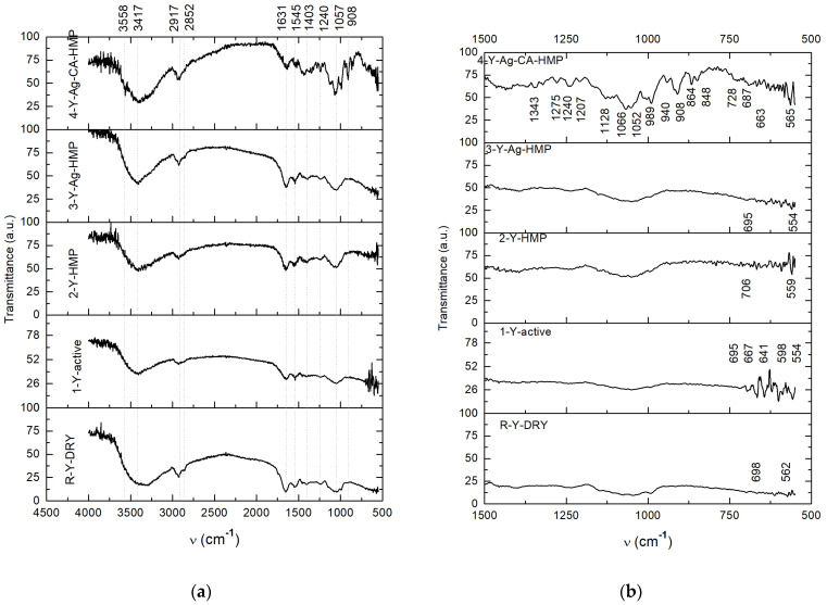 FTIR spectra of investigated behavior of yeast to different media provided by the analyzed materials (a) and detailed FTIR spectra in the finger-print region of 1500 cm−1–500 cm−1 (b).
