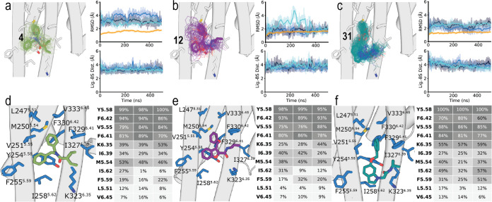 Computational model between compounds 4, 12, and 31 and 5HT2AR (PDB id 7WC4). (a–c) Representative structures (solid sticks) and evolution (lines) of compound 4 (a, in green), 12 (b, in purple), and 31 (c, in blue) in complex with 5HT2AR (gray cylinders, only the initial structure is shown) during MD simulations (one replica is displayed for better visualization although additional replicas showed consistent behavior). The stability of the ligand–receptor complexes (top panels) was analyzed via root mean-square deviations (RMSD) of the ligand heavy atoms as devised from three replicas of unbiased 500 ns MD simulations (blue colors), and the stability of 5HT2AR was analyzed via RMSD of the receptor C atoms (orange). Evolution of the distances between the center of mass (COM) of the ligand and the residues in the binding site (bottom panels), along the trajectories (blue colors). (d–f) Detailed views and heatmaps (calculated with GetContacts, https://getcontacts.github.io/interactions.html) depicting the predicted interactions between compounds 4 (d), 12 (e), and 31 (f) and 5HT2AR during three replicas of unbiased 500 ns MD simulations.