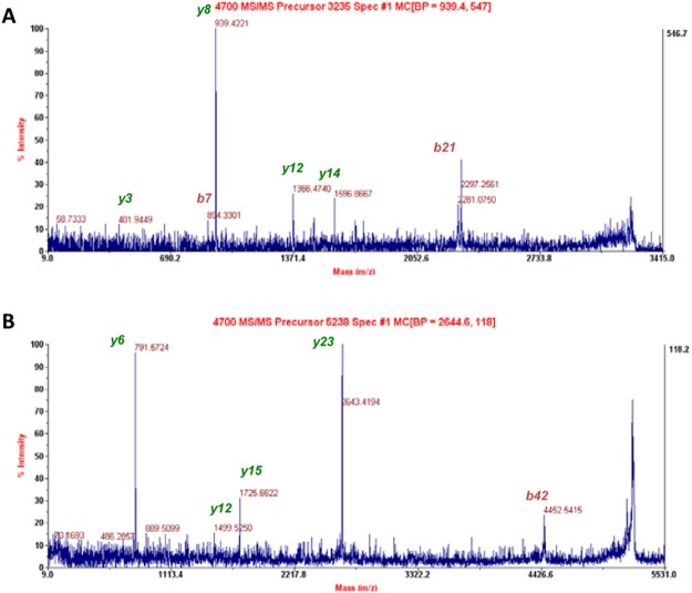 MS/MS fragmentation of selected peptide ions. (A) Matching expected fragments of the precursor ion with m/z 3235 for the sequence AHHHHHHVGTGSNDDDDKSPDPWPSALIR labeled in green and red. (B) Matching expected fragments of the precursor ion with m/z 5238 for the sequence KPFHLVGTSMGGQVAGVYAAYYPSDVSSLCVCPAGLQYSTDNQFVQR labeled in green and red.