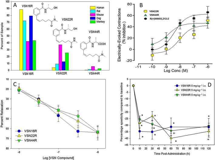 VSN16R produces active metabolites. (A) VSN16R was incubated with primary mouse rat, monkey and human hepatocytes and, 1 h later, the supernatants were assessed by liquid crystallography mass spectroscopy and two species, VSN22R and VSN44R, were identified, and the results expressed as percentage of the original starting material. Inset shows the structure of VSN22R and VSN44R. (B) Inhibition of electrically‐evoked contraction of the mouse vas deferens following incubation with various doses of VSN22R and VSN44R (n = 5 replicates). (C) VSN16R (n = 8 cultures), VSN22R (n = 6 cultures), VSN44R (n = 8 cultures)‐mediated relaxation of methoxamine‐evoked contraction in rat mesenteric arteries. (D) Inhibition of spasticity measured as the resistance to hindlimb flexion against a strain gauge in visibly spastic ABH mice, showing mean ± SEM following injection of 5 mg·kg−1 i.v. VSN16R (n = 7 animals, n = 14 limbs), VSN22R (n = 7 animals, n = 14 limbs) or VSN44R (n = 9 animals, n = 18 limbs). *Significantly different compared with baseline.