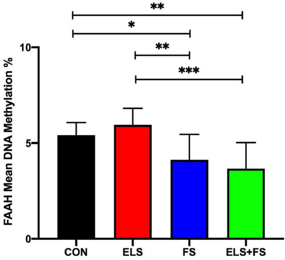 ELS and FS effects on mean DNA methylation levels of 9 CpG sites within the promoter region of FAAH gene. DNA methylation levels are depicted as mean ± SD. Significant results of SNK post-hoc test are presented as *p ≤ 0.05, **p ≤ 0.01, and ***p ≤ 0.001. CON, control (n = 9); ELS, early life stress (n = 9); FS, forced swimming (n = 8); ELS + FS, early life stress + forced swimming (n = 9).