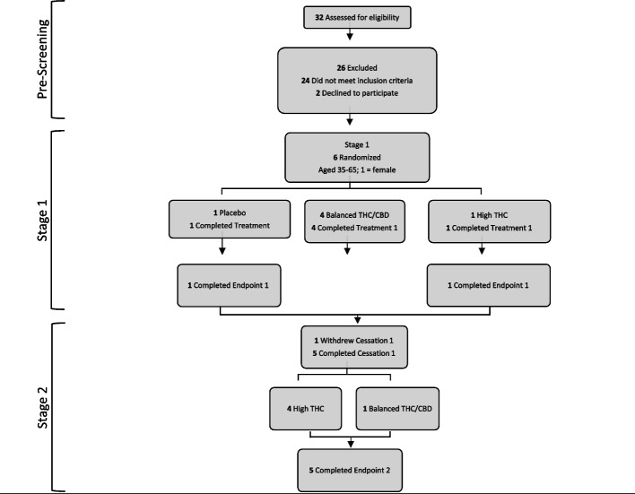 Consort flow design. Note: Stages 1 and 2 include 2 weeks of washout/cessation followed by 3 weeks of ad lib cannabis use