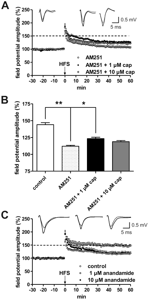 The CB1 receptor is involved in the mediation of capsaicin-induced inhibition of LA-LTP.(A) The CB1 receptor antagonist AM251 (2.5 µM) evoked a reduction of LA-LTP in comparison with controls. This reduction was not enhanced by capsaicin. In contrast, the co-administration of AM251 and capsaicin (1, 10 µM) caused an increase in the magnitude of HFS-induced LA-LTP. (B) Bar histogram of data points averaged 57 to 60 min after HFS and normalized with respect to baseline (mean ± SEM). Significant differences are indicated. *p<0.05, **p<0.01. (C) Anandamide (1 µM, 10 µM) provoked a significant suppression of LA-LTP. Representative traces were recorded 5 min prior to tetanus (dashed lines) and 60 min after tetanus (solid lines). Data were obtained by using horizontal slices derived from adult mice.