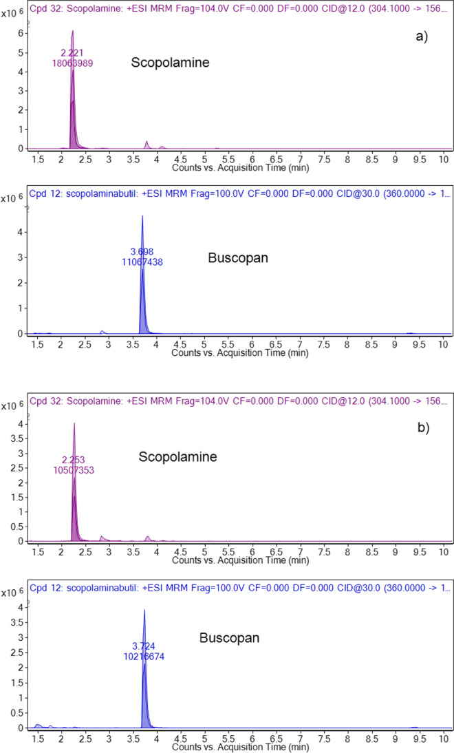 Extracted ionic chromatograms of scopolamine and scopolamine butyl bromide characteristic transitions in the urine of the deceased (a) and in a reference positive sample (b)