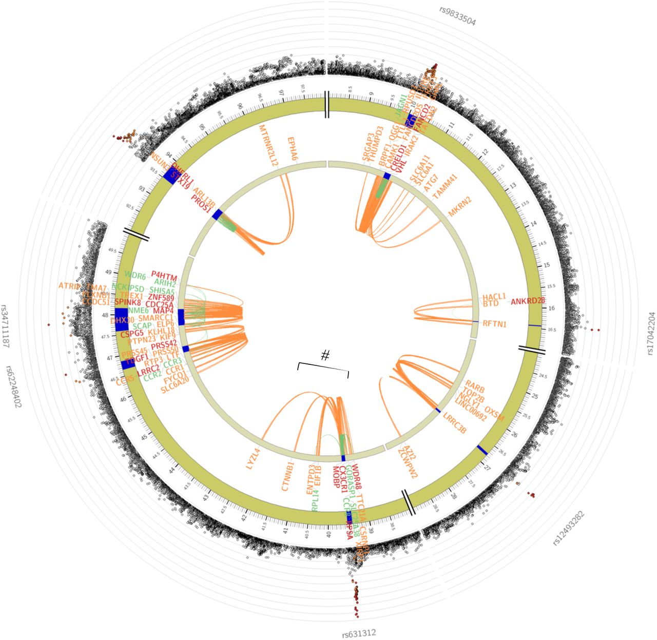 Circos plot of the Functional and Mapping annotation with cross-ancestry ALS GWAS summary statistics using FUMA.Highlighted with the Hash symbol and bracket is the region of interest. The outer dots indicate the log10 p-value with high LD SNPs with the lead SNP (rs631312) coloured red. Genes positionally linked with chromatin data are coloured orange, linked with eQTL data are green, and with both chromatin and eQTL are red (MOBP, RPSA, WDR48, CX3CR1). Linked details for each gene are in Supplementary Table 5.