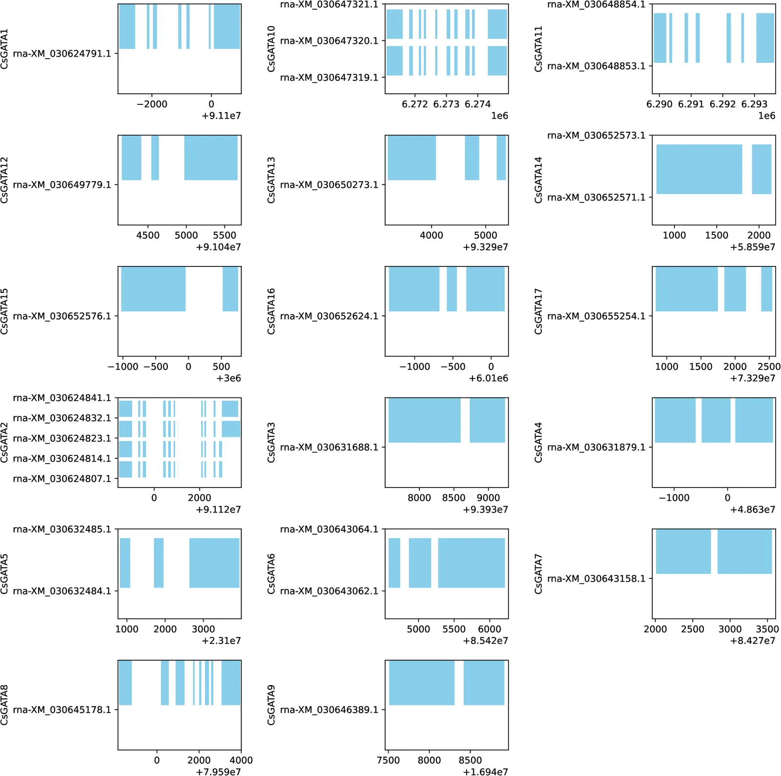 Alternative splicing (AS) patterns and exon–intron organization across the 17 CsGATA genes in C. sativa L