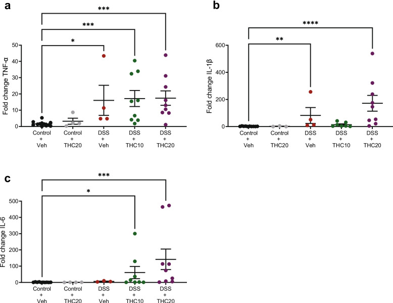 Effects of THC on expression of pro-inflammatory cytokines determined by qRT-PCR in DSS-treated animals. a-c represents the data from IL-1 beta, TNF-alpha and IL-6 respectively. Note the difference in the y-axis scale among the cytokines. Veh = vehicle treatment, THC10 = 10 mg/kg THC, THC20 = 20 mg/kg THC. Data are shown as relative gene expression in the mean fold change ± SEM. *p < 0.05, **p ≤ 0.01, ***p ≤ 0.001, ****p ≤ 0.0001