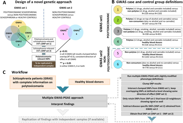 Novel multiple GWAS–PGAS approach.A Overview of the analysis design. GWAS set 1 to obtain SNP set 1: 4 GWAS contrasting polytoxicomanic versus non-polytoxicomanic individuals (including healthy individuals) with slightly varied phenotype definitions (details in (B)) to identify SNPs that show consistent associations (p < 0.01) in all 4 GWAS. These SNPs are considered polytoxicomania and/or schizophrenia-associated. GWAS set 2 to obtain SNP set 2: SNPs associated exclusively with schizophrenia, but not polytoxicomania, resulting from GWAS 5 and/or 6 (p < 0.05) are subtracted from SNP set 1 (polytoxicomania and/or schizophrenia-associated), yielding the final set of polytoxicomania-relevant SNPs. B Diagram showing exact phenotype definitions and sample sizes per group for GWAS 1–6. C Detailed workflow of the novel GWAS–PGAS approach including clumping procedure to reduce number of SNPs in the final set.