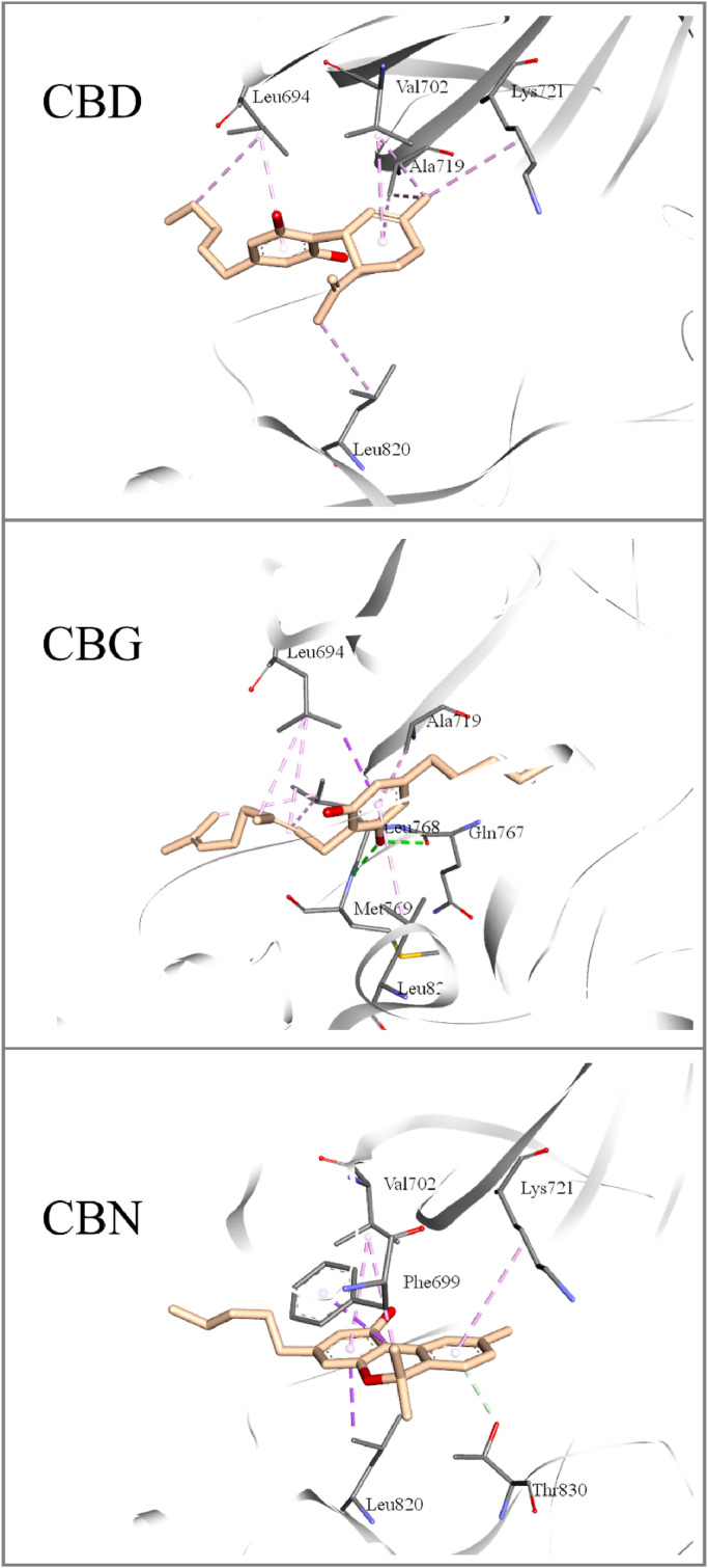 Fig. 5