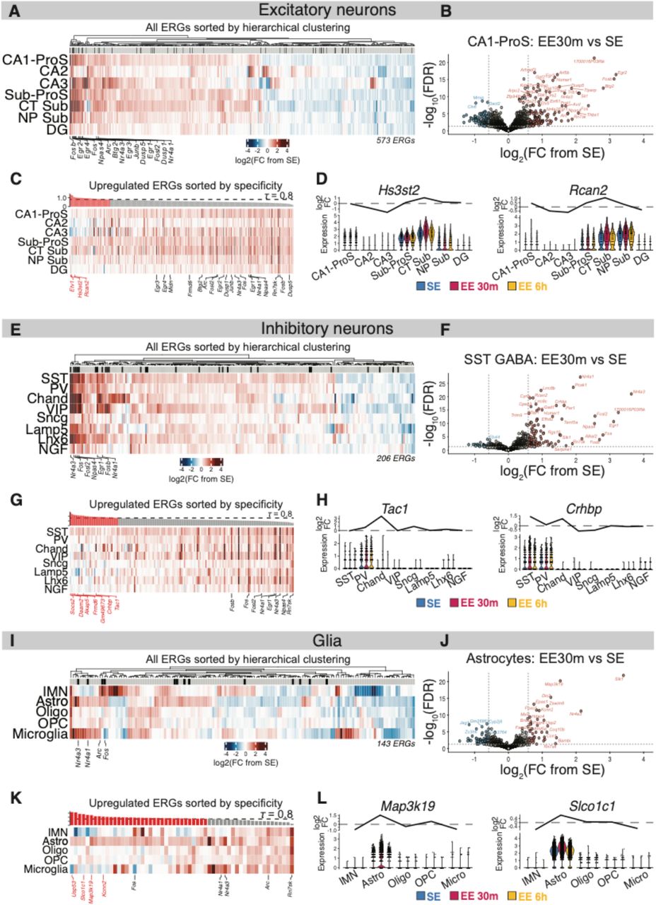 Discovery of cell-type-specific ERGs induced by novel experience.(A) Change in expression in EE30m vs SE for all ERGs in excitatory neuronal subclasses; gene columns are ordered by hierarchical clustering, and genes encoding transcription factors are annotated with black ticks above heatmaps. For every Subclass, we performed pseudobulk DEG analysis at EE 30 min vs SE and EE 6 hr vs SE. The heatmap contains all DEGs—ascertained from any Subclass listed—that were classified as ERGs. ERGs are defined as DEGs whose fold- change in EE vs SE was higher after 30 min instead of 6 hr (Methods).(B) Volcano plot of DEGs in CA1-ProS nuclei at EE30m (n = 3329 nuclei) vs SE (n = 1907 nuclei).(C) Heatmap of upregulated ERGs in excitatory neuronal Subclasses, ordered by Subclass- specific induction (tau score; Methods). Canonical ERGs are annotated in black text, while novel example Subclass-specific genes are annotated in red text.(D) Violin plots of SC-transformed expression for example genes with high tau scores. (E-H) as in (A-D) but for inhibitory neuronal subclasses.(I-K) as in (A-D) but for immature neurons and glial subclasses.