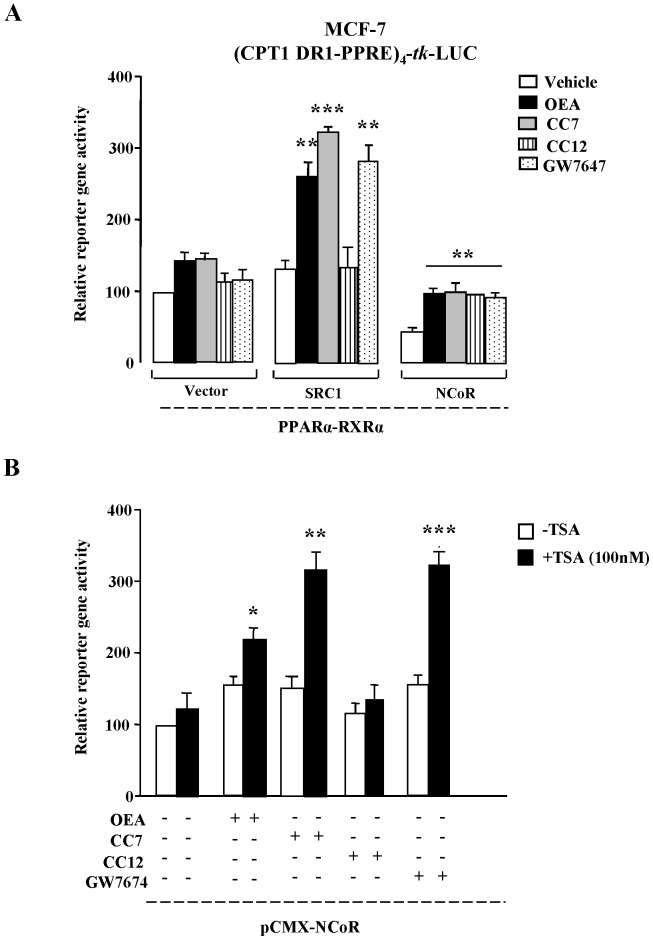 Basal and ligand-induced activities of PPARα were determined using luciferase reporter gene assays.(A) MCF-7 cells were transiently transfected with a reporter construct containing the human CPT1 DR1-type PPRE (CPT1-PPRE) and the indicated expression vectors for PPARα, RXRα, SRC1 (co-activator) and NCoR (co-repressor). The columns represent the mean ± SEM of at least three experiments, and the data were analyzed by Student’s t test. **P<0.01 and ***P<0.001 compared to vehicle alone. (B) MCF-7 cells were treated for 16 h with 10 μM of OEA, CC7, CC12 or GW7647 in either presence or absence and of 100 nM of the HDAC inhibitor trichlorostatin A (TSA). Stimulation of luciferase activity was normalized to the basal activity of PPARα-RXRα in absence of ligands. The columns represent the mean ± SEM of at least three experiments, and these data were analyzed by Student’s t test. *P<0.05, **P<0.01 and ***P<0.001 compared to the absence of TSA and the presence of vehicle.