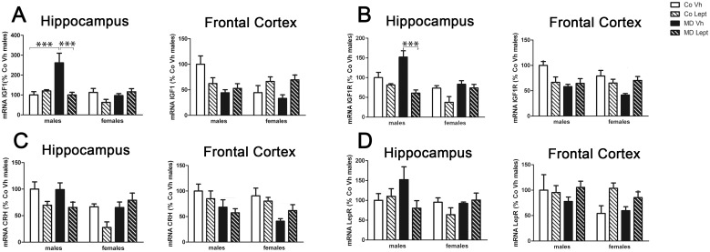 Expression levels in the hippocampus and frontal cortex of the mRNAs encoding insulin-like growth factor 1 (IGF1) (A), IGF1 receptor (IGF1R) (B), corticotropin-releasing hormone (CRH) (C) and leptin receptor (LepR) (D) in maternally deprived (MD) or control (Co) male and female rats treated with leptin (Lept) or vehicle (Vh) from postnatal day (PND) 9 until PND13 (n = 5–6).Post hoc test: ***p<0.005.