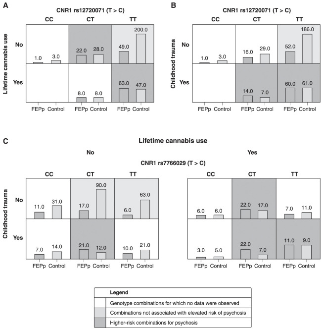 Models assessing gene-environment and gene-gene associations considering: A) Lifetime cannabis use: individuals with lifetime cannabis use who were CNR1 rs12720071 T-allele carriers had a greater risk of psychosis (cross-validation consistency [CVC] = 10/10, testing accuracy = 66.4%, p < 0.001). The bars show the frequency distribution of genotypes for the first-episode psychosis patients (FEPp) and controls (left and right columns, respectively) in relation to lifetime cannabis use; B) Childhood trauma: risk association between individuals with childhood trauma and CNR1 rs12720071-T-allele carriers (CVC = 6/10, testing accuracy = 62.1%, p = 0.005). The bars show the frequency distribution of genotypes for the FEPp and controls (left and right columns, respectively) in relation to childhood trauma; and C) Lifetime cannabis use and childhood trauma: increased risk for developing psychosis in individuals with lifetime cannabis use, childhood trauma, and CNR1 rs7766029 T-allele carrier status (CVC = 8/10, testing accuracy = 69.3%, p < 0.001). The bars show the frequency distribution of genotypes for the FEPp and controls (left and right columns, respectively) in relation to both environmental risk factors.