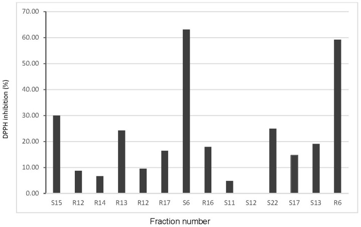 DPPH radical scavenging activity (%) of raw (R) and malted hemp seed (S) protein fractions separated by SEC-HPLC. The fraction number is directly correlated with the elution time in minutes on the HPSEC column.