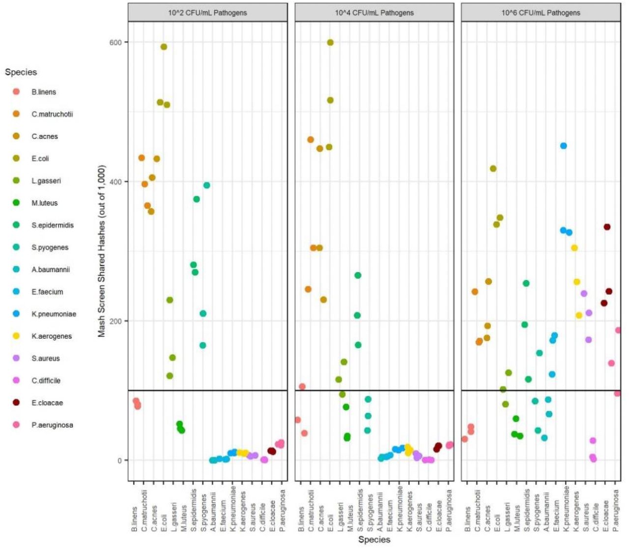 ESKAPE+C Pathogen Detection Limits in Metatranscriptomes.A horizontal black line is drawn to show the equivalent of a successful genome-level detection event at a Mash Screen identity of 0.90. ESKAPE+C pathogens within metatranscriptomes were not detected below 106 CFU/mL in the RNA titration experiments. Only the background microorganisms were detected, which were kept at a constant level of 106 CFU/mL in all samples. C. difficile and A. baumannii were not detected in metatranscriptomes at any tested level.