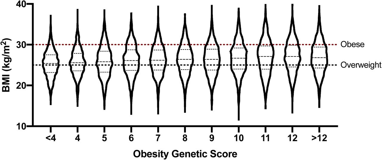 Effect of BMI genetic score on BMI in the EPIC Norfolk cohort.Violin plot displaying 1,000 synthetic BMI datapoints per group of BMI genetic risk score, as developed by Willer et al.,4 using population mean and SD values from the EPIC Norfolk cohort. Significant variability is seen across the entire range of genetic scores, with more than 50% of individuals being overweight regardless of genotype.