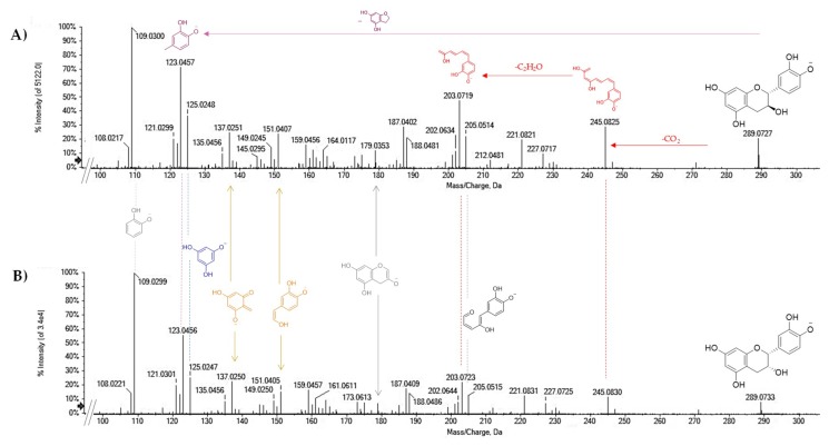 TOF-MS/MS spectra of [M − H]− ion of compounds (A) 11 and (B) 14. The structure of the main fragment ions is highlighted. The relative abundance of the ions [M − H-CO2]− and [M − H-CO2-C2H2O]−, as well as of ions from benzofuran-forming fission (BFF, in purple), heterocyclic ring fission (HRF, in blue), and retro Diels–Alder (RDA, in light orange) reactions allowed the geometrical isomers to be distinguished.