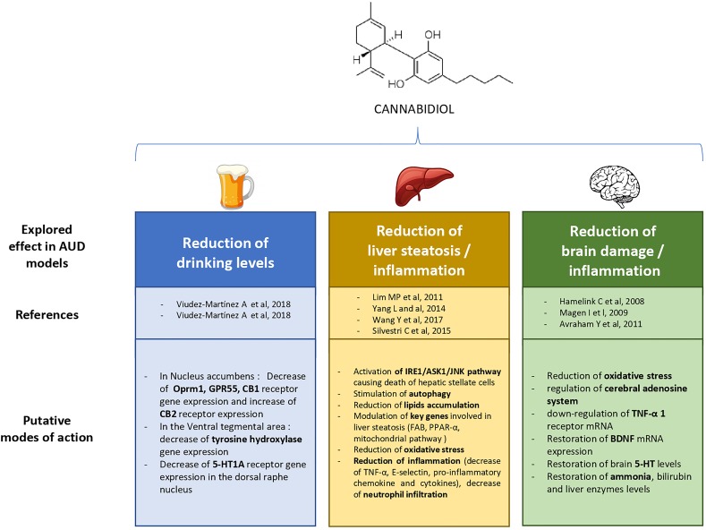 Explored therapeutic prospects of cannabidiol in previous experimental research on alcohol use disorder (AUD).