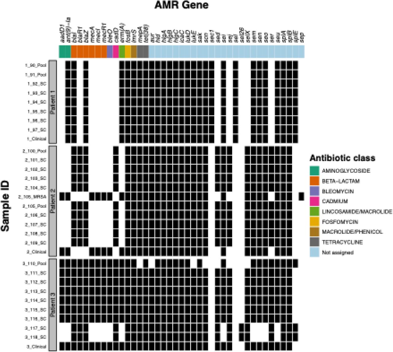 Antimicrobial resistance genetic signatures.Black boxes indicate presence of allele associated with antimicrobial resistance as identified by the AMRFinderPlus tool included in the Bactopia pipeline. Colors across the top of the figure group genes by the antibiotic class their resistance is associated with.
