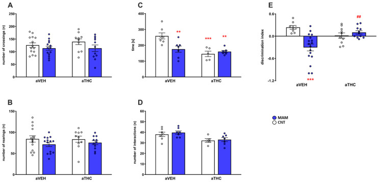 Effects of peripubertal treatment with THC (aTHC) on the behavioral phenotype of prenatally MAM-exposed rats in the open field test ((A): number of crossings; (B): number of rearings), in the social interaction test ((C): time of interaction; (D): number of interactions) and in the novel object recognition test ((E): discrimination index) in adulthood. Data are presented as means ± S.E.M. (n = 5–14 rats/group). ** p < 0.01 and *** p < 0.001 vs. CNT/aVEH; ## p < 0.01 vs. MAM/aVEH, Tukey’s post hoc test.
