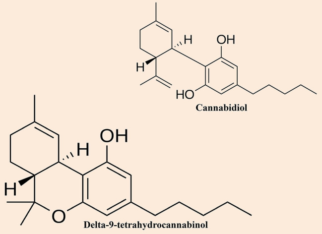 Chemical structures of the most notable cannabinoids (i.e. cannabidiol and delta-9-tetrahydrocannabinol) found in cannabis.