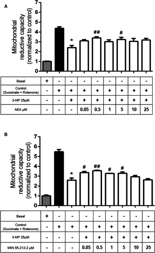 Concentration–response effects of anandamide (AEA; in A) and WIN 55212–2 (in B) on the 3-nitropropionic acid (3-NP)-induced decrease in mitochondrial reduction capacity in rat brain mitochondria. Bars represent mean values ± SEM of n = 5–8 experiments per group. *p ≤ 0.0001, 3-NP different of control mitochondria (black bar); #p ≤ 0.05 and ##p ≤ 0.01, different from 3-NP (white bars). One-way ANOVA followed by Tukey’s test