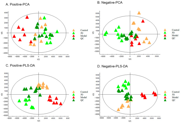 Score scatter plot for PCA and PLS-DA analysis for rat serum metabolomic analysis among the Control, Model, and JG groups. (A,C) Positive mode (R2Y = 91%, Q2 = 75% for PLS-DA). (B,D) Negative mode (R2Y = 81%, Q2 = 68% for PLS-DA).