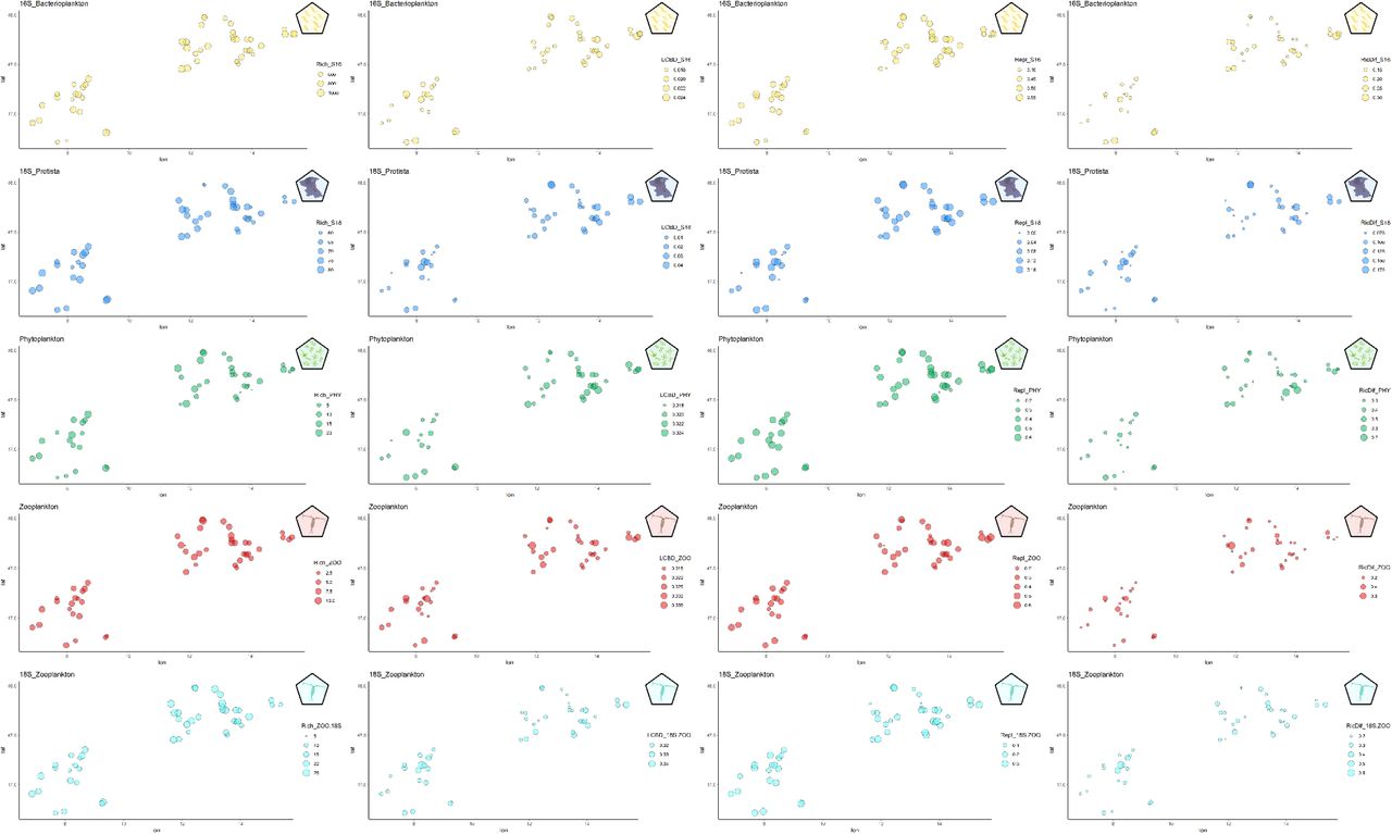 Plots showing diversity metrics distribution for each one of the studied groups. Size indicates metrics values. Colours correspond to the different groups: bacterioplankton, protist, phytoplankton, zooplankton and 18S zooplankton respectively.