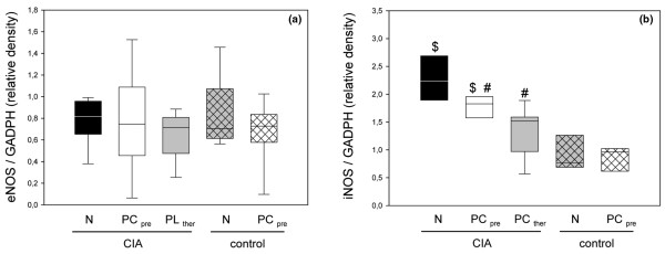 mRNA expression of endothelial and inducible nitric oxide synthase in animals with collagen-induced arthritis. mRNA expression of (a) endothelial nitric oxide synthase (eNOS) and (b) inducible nitric oxide synthase (iNOS) in the inguinal lymph nodes of animals with CIA and either the normal diet (N) or the phosphatidylcholine-enriched diet, starting either with the CIA induction (PCpre) or with the clinical onset of disease (PCther). For the induction of CIA, animals were immunized twice with collagen II and complete Freund's adjuvant/incomplete Freund's adjuvant. Three weeks after the second immunization, lymph nodes were taken from the inguinal region and prepared as described in Materials and methods. The expressions of the target genes were referred to that of GADPH. Values given as medians with the 25th and 75th percentiles. #P < 0.05 versus N/CIA. $P < 0.05 versus N/control.