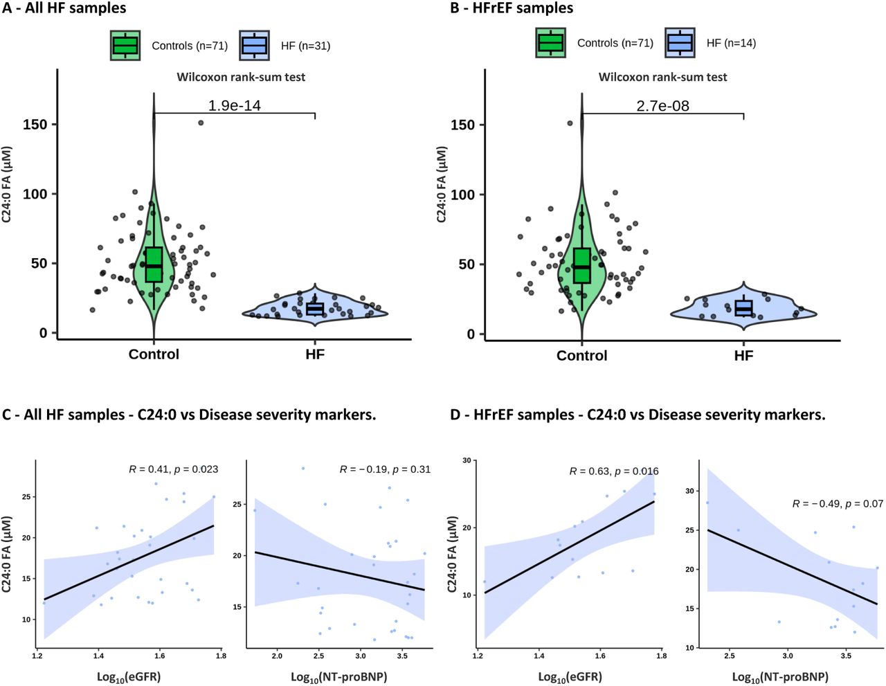 Replication of C24:0 FA using replication cohortViolin plots of the C24:0 FA concentration (in μM), distribution test using Wilcox.test comparing controls and HF samples. A - Control samples (n=71) vs HF samples (n=31) without any filter related the left ventricular ejection fraction B - Control samples (n=71) vs HFrEF samples only (n=14) by using left ventricular ejection fraction (LVEF) value as filter (LVEF ≤ 40%). Correlation plots between C24:0 FA concentrations and log10 heart failure disease markers values. Left : eGFR values, Right : NT-proBNP. C - Correlation using the HF samples (n=31). D - Correlation using the HFrEF samples only (n=14). Abbreviations - eGFR : estimated Glomerular Filtration Rate, FA : Fatty Acid, NT-proBNP : N-terminal pro B-type Natriuretic Peptide.