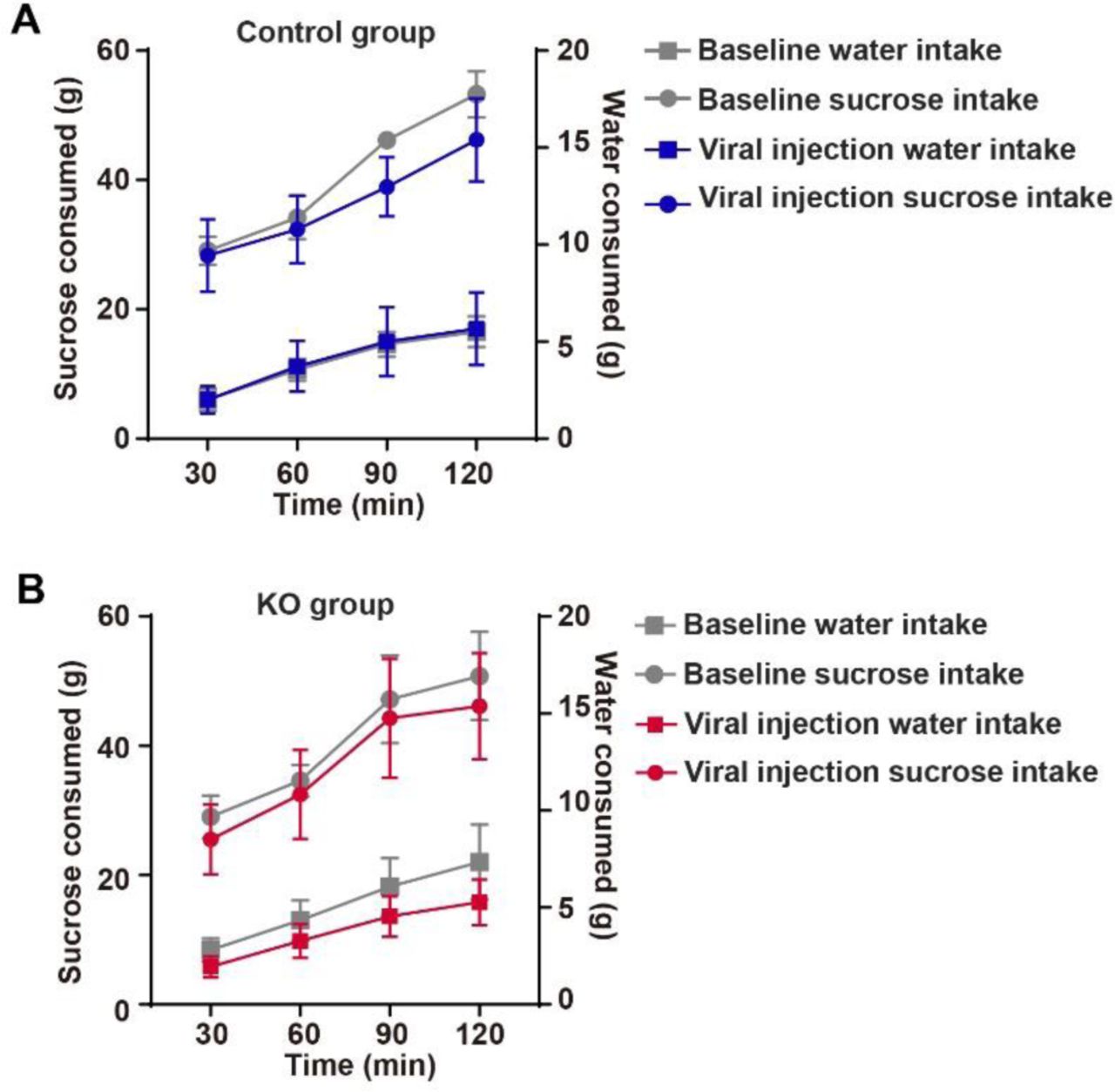 Sucrose preference test.A, B, Consumption of water and sucrose across 2-h sucrose preference test in control (A) and KO groups (B). Sucrose consumption is shown on left y-axis and water consumption is shown on right y-axis.