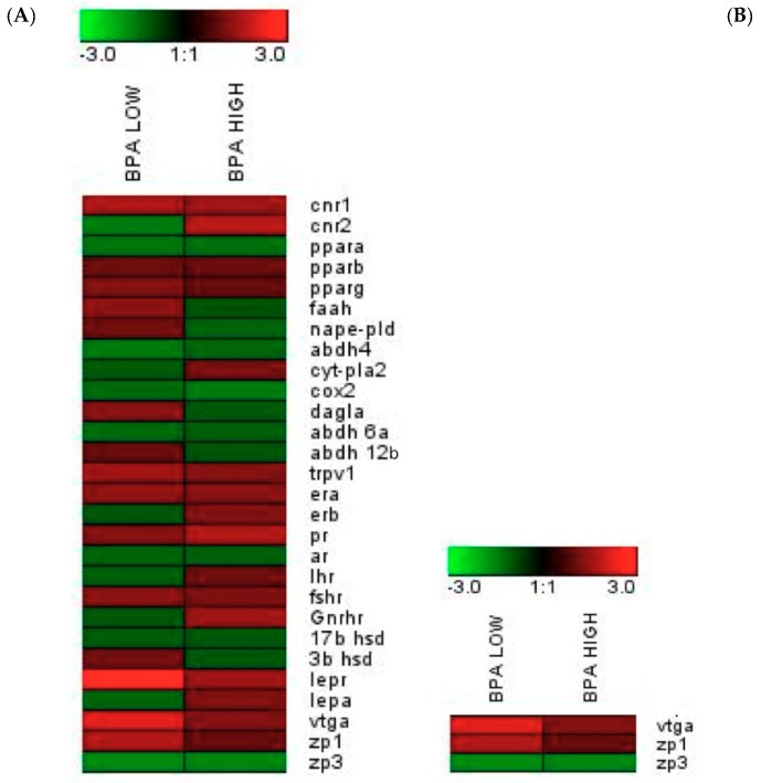 Gene expression heat maps in the testes (A) and the liver (B). Scales of colors represent fold-change values in relation to the POST-CTRL group (green, down-regulation; red, up-regulation).