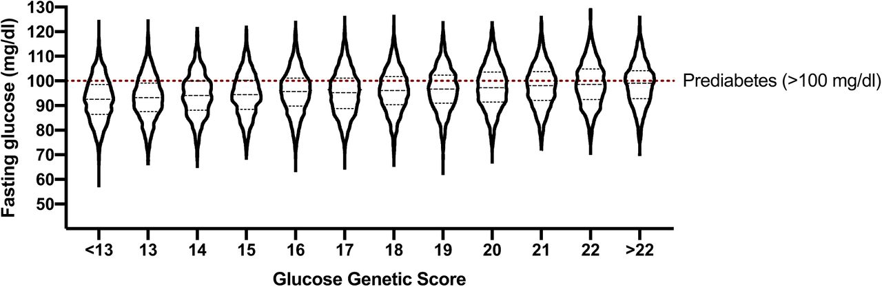Effect of glucose genetic score on fasting glucose in the Framingham cohort.Violin plot displaying 1,000 synthetic glucose datapoints per group of glucose genetic risk score, as developed by Dupuis et al.,3 using population mean and SD values from the Framingham cohort. Significant variability is seen across the entire range of genetic scores. Risk of prediabetes (fasting glucose >100 mg/dl) increases from 19.4% to 43.5% from the lowest to highest risk group, with the most common genetic risk profiles (scores of 16-19, ∼50% of individuals) having around a 30% risk of prediabetes.
