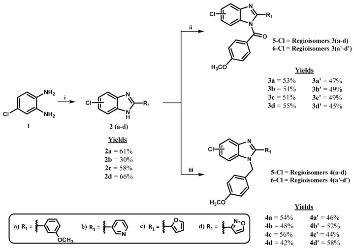 Synthesis of (5-chloro-2-(aryl)-1H-benzo [d]imidazol-1-yl)(4-methoxyphenyl)methanone 3(a-d), its regioisomers 3(a’-d’) and 5-chloro-1-(4-methoxybenzyl)-2-aryl-1H-benzo [d]imidazole 4(a-d) and its regioisomers 6-chloro-1-(4-methoxybenzyl)-2-aryl-1H-benzo [d]imidazole 4(a’-d’). Reagents and conditions: (i) for aldehydes: DMF, MgCl2·6H2O, rt, 24 h; for carboxylic acids: polyphosphoric acid (PPA), 180 °C, 3 h. (ii) 4-methoxybenzoyl chloride, NaH, N2, dry THF, rt, 30 min. (iii) 4-methoxybenzyl bromide, NaH, N2, dry THF, rt, 24 h.
