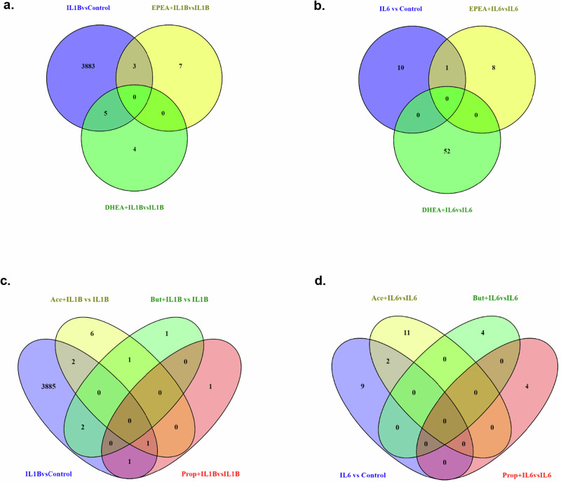 Venn diagrams indicating the number of differentially expressed genes (DEGs) in various conditions.a. Number of DEGs in IL1β vs Control, EPEA + IL1β vs IL1β and DHEA + IL1β vs IL1β conditions and the commons ones within them. b. Number of DEGs in IL6 vs Control, EPEA + IL6 vs IL6 and DHEA + IL6 vs IL6 conditions and the commons ones within them. c. Number of DEGs in IL1β vs Control, Acetate + IL1β vs IL1β, Propionate + IL1β vs IL1β and Butyrate + IL1β vs IL1β conditions and the commons ones within them. d. Number of DEGs in IL6 vs Control, Acetate + IL6 vs IL6, Propionate + IL6 vs IL6 and Butyrate + IL6 vs IL6 conditions and the commons ones within them.